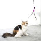Teaser van het douane Bulktoverstokje Interactief Kattenspeelgoed voor het Binnenkatten Spelen leverancier