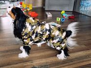 Weerspiegelende de Regenlaag van de Puppy Kleine Hond, Zacht In te ademen Waterdicht Hondjasje leverancier
