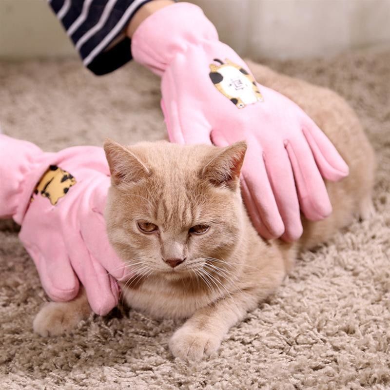 De roze Professionele Huisdier het Verzorgen Schoonmakende Handschoen van het Handschoenenbad voor Kat/Hond leverancier